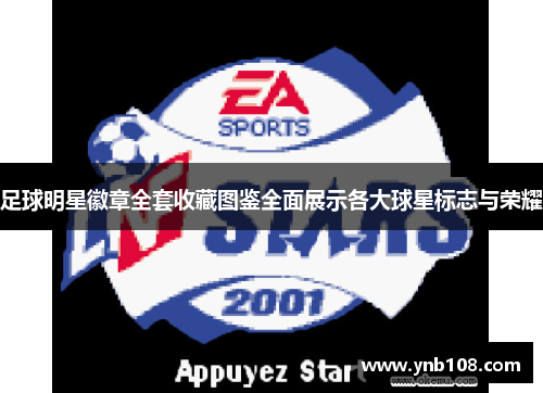 足球明星徽章全套收藏图鉴全面展示各大球星标志与荣耀