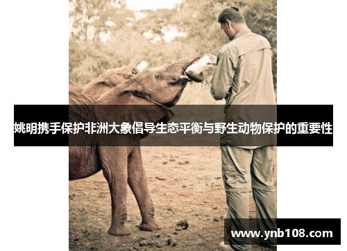 姚明携手保护非洲大象倡导生态平衡与野生动物保护的重要性