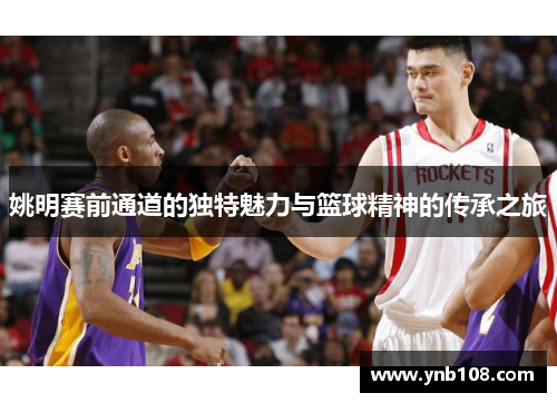 姚明赛前通道的独特魅力与篮球精神的传承之旅